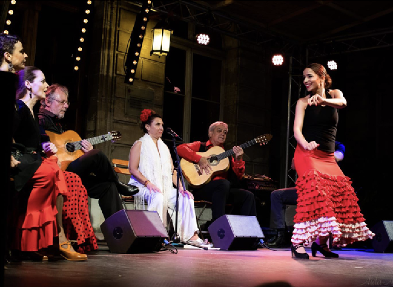 Flamenco png